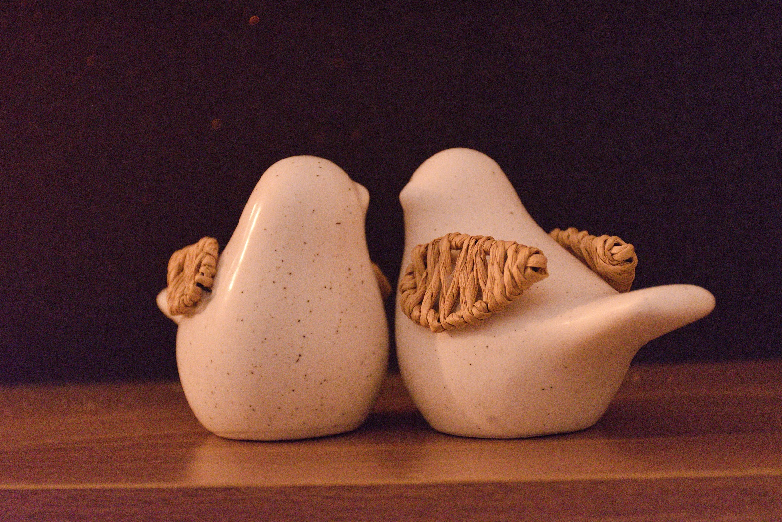 Ty-Koad Duo — photo 14